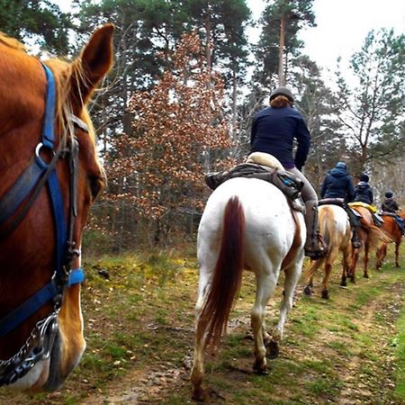 Les Gites Du Val Valprivas Esterno foto