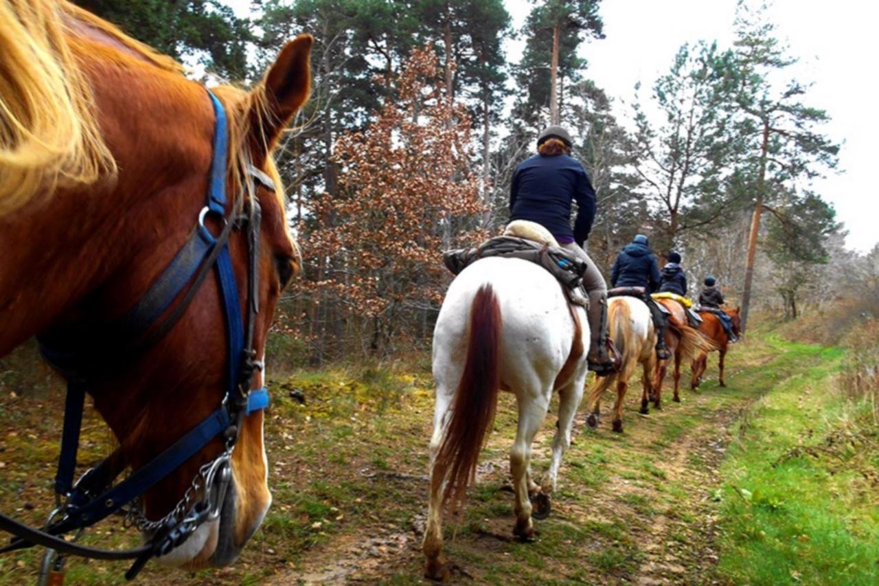 Les Gites Du Val Valprivas Esterno foto